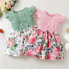 Little Girl Princess Dress Clothing-FrenzyAfricanFashion.com