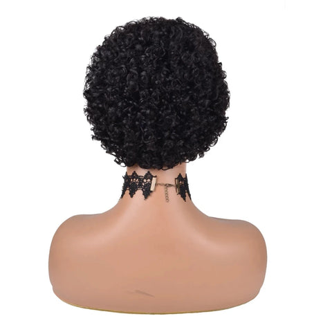 Image of Kinky Curly Wigs Short Wigs Black Women Human Hair-FrenzyAfricanFashion.com