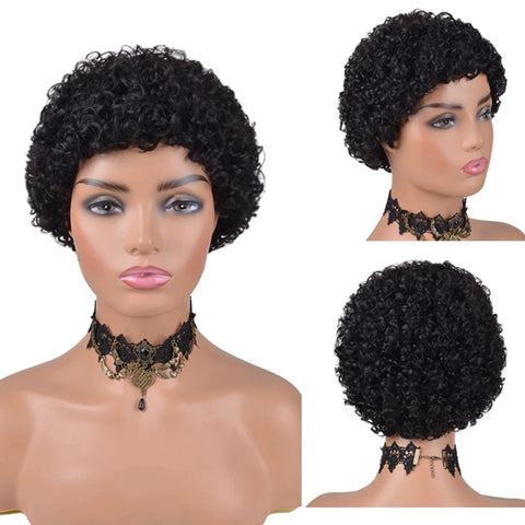 Image of Kinky Curly Wigs Short Wigs Black Women Human Hair-FrenzyAfricanFashion.com