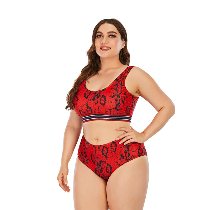 Women Push Up Bikinis Set Swimwear Plus Size High Waist Swimsuit Beachwear-FrenzyAfricanFashion.com